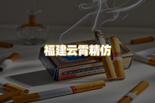 福建云霄精仿
